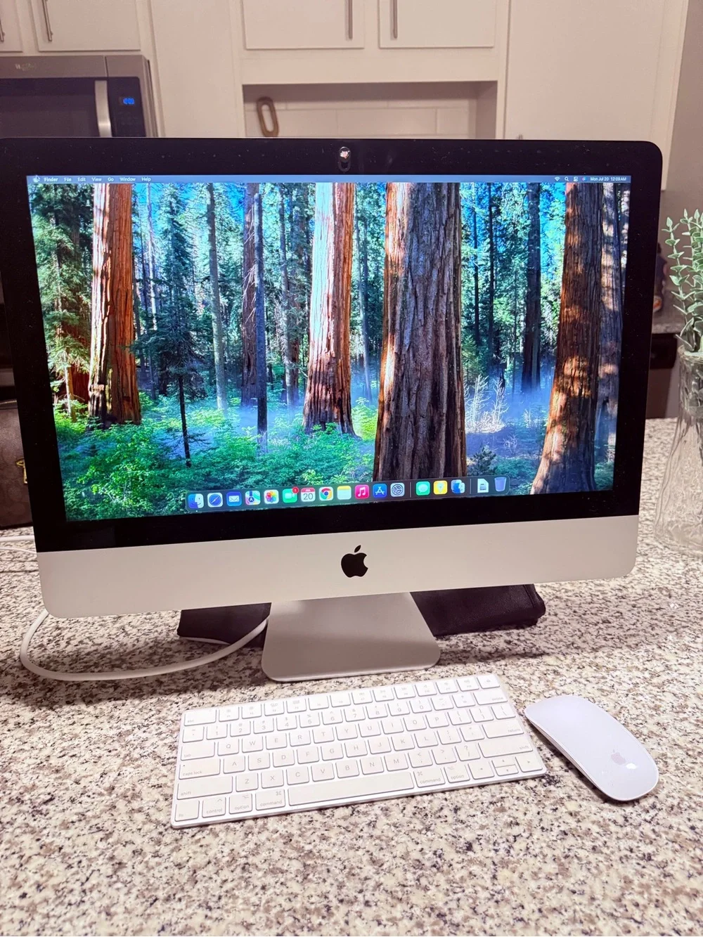 Apple iMac 21.5